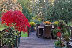 Ein zauberhaftes und vielseitiges Haus in Spitzenlage direkt am Grüngürtel und Engl. Garten – Die vollständige Adresse der Immobilie erhältst du vom Anbieter., 80805 Alte Heide-Hirschau, München – Vorschaubild 8
