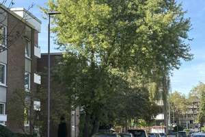Wunderschöne, helle Wohnung nach Komplettmodernisierung - 200m Luftlinie zum Rhein- von privat – 40549 Heerdt, Düsseldorf – Vorschaubild 21