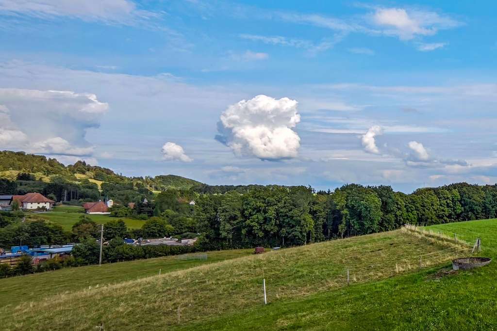 Immobilie in Rickenbach - Großzügiges Wohnhaus mit Weitblick für eine oder zwei Familien: Viel Platz für Ihre Wohnträume - Bild 3