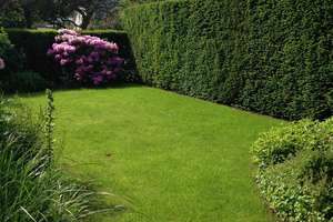 Property thumbnail 16