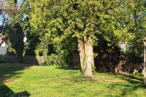 Reserviert!!! Ruhig gelegenes 1-Zimmer-Apartment mit Potential im Fasangarten! – Die vollständige Adresse der Immobilie erhältst du vom Anbieter., 81549 Südgiesing, München – Vorschaubild 3
