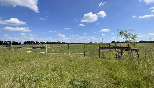 Bild von Wunderschönes Fachwerkhaus in ruhiger Lage mit Platz für 4-5 Pferde