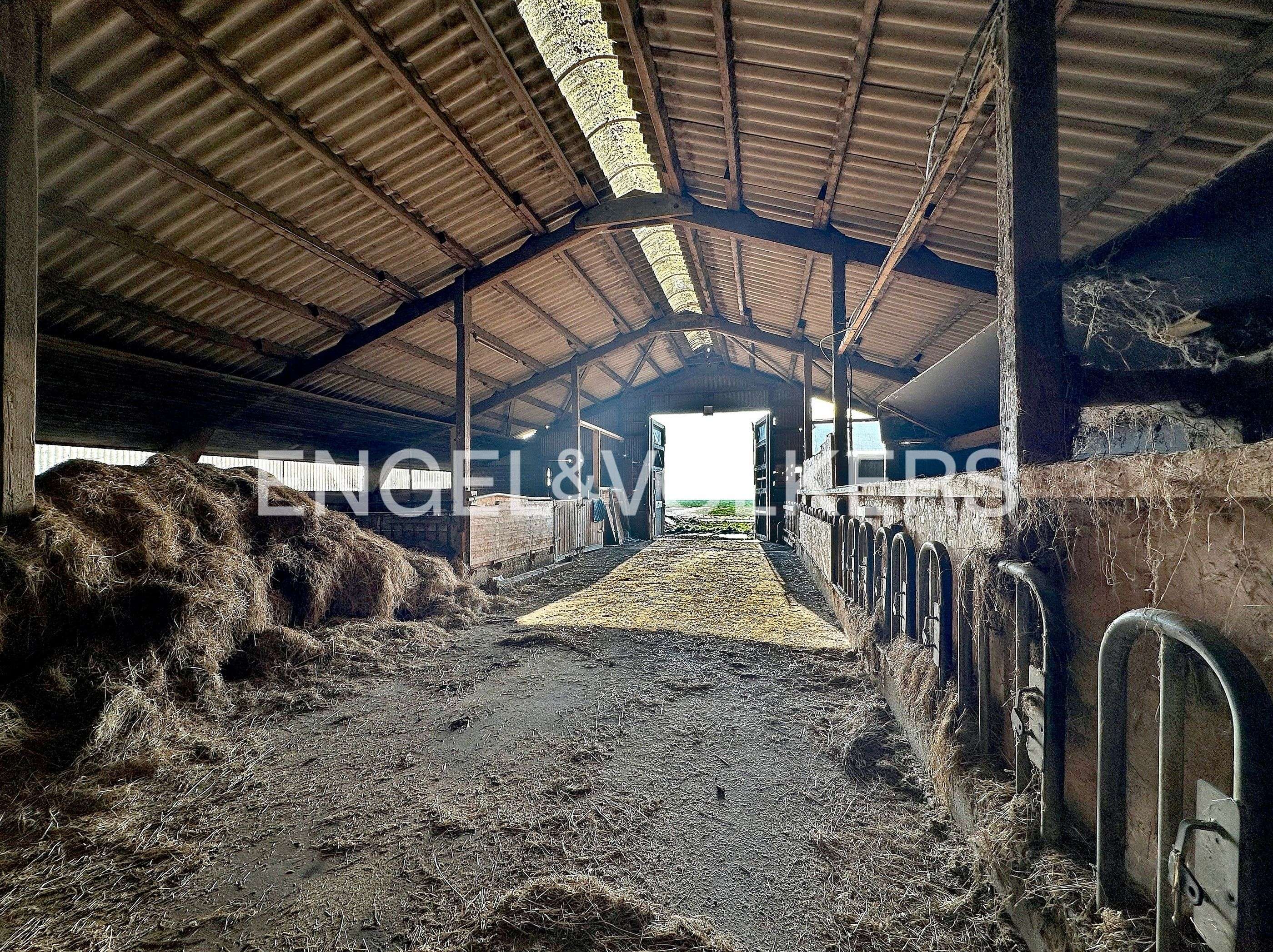 Immobilie in Jever - Sanierungsbedürftiger Resthof in einzigartiger Lage am Trinkwasserschutzgebiet - Bild 6