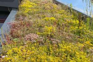 Property thumbnail 20