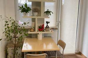 Modernisierte 1-Zimmer-Wohnung im EG. mit Terrasse und TG an Dianaplatz – Heisterstraße 20, 90441 Werderau, Nürnberg – Vorschaubild 30