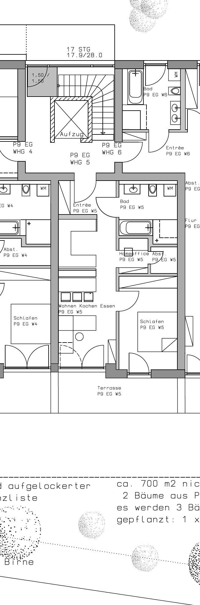 Grundriss Whg 5 P9