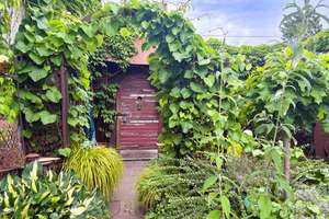 GARTENIDYLL & KÜNSTLERFLAIR – Die vollständige Adresse der Immobilie erhältst du vom Anbieter., 65205 Nordenstadt, Wiesbaden – Vorschaubild 2