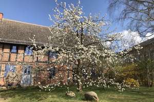 Wohnen im Fachwerkhaus. 3 Wohneinheiten. Großer Obstgarten, Wiese und Waldanteil inklusive. – Die vollständige Adresse der Immobilie erhältst du vom Anbieter., 39638 Zobbenitz – Vorschaubild 2