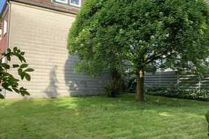 DO-Wambel - Nähe Knappschaft KKH -  kersan. 2-Zi KDB - EBK - neues Bad + Holzdielen - Garten !!! – Einigkeit 17, 44143 Dortmund – Vorschaubild 13