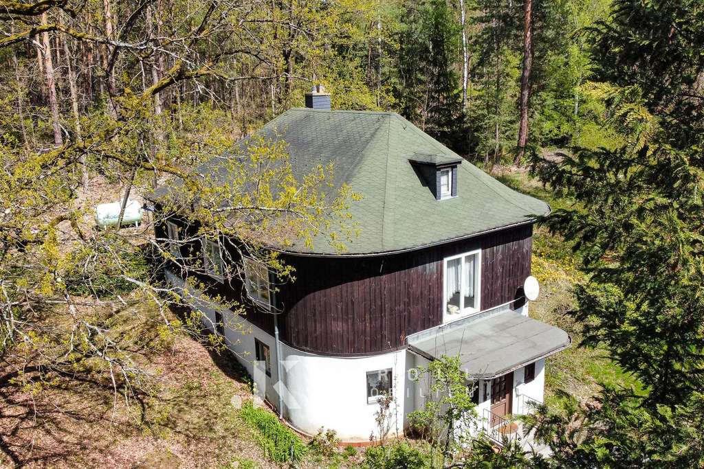 Immobilie in Oßling - Wóslink - Wohnen, wo Stille zuhause ist: Einzigartiges Waldhaus mit maximaler Privatsphäre - Bild 1