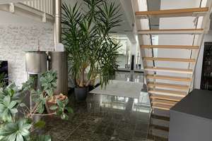 Penthouse-Maisonette von/an Privat – Die vollständige Adresse der Immobilie erhältst du vom Anbieter., 22175 Bramfeld, Hamburg – Vorschaubild 2