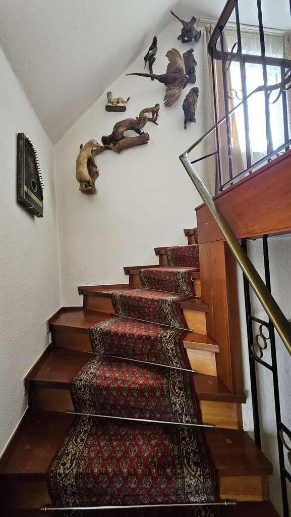 Immobilie in Barntrup - Nur für Kapitalanleger: EFH mit Wohnrecht zum abgezinsten Kaufpreis - Bild 3