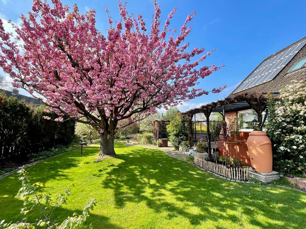 Immobilie in Drochtersen - Großzügiges EFH mit Paradiesgarten in familienfreundlicher Lage - Provisionsfrei - Bild 1