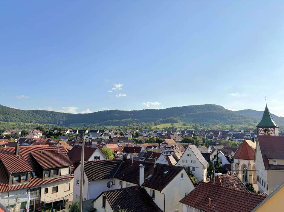 Ausblick OG
