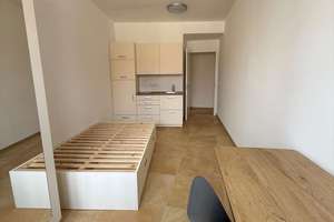 Helles 1-Zimmer-Apartment 1 Bad in 2er-WG – 93047 Innenstadt, Regensburg – Vorschaubild 5