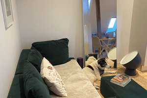 Sehr schön sanierte Studiowohnung mit Diele und Wohnküche! – Die vollständige Adresse der Immobilie erhältst du vom Anbieter., 68169 Neckarstadt-West, Mannheim – Vorschaubild 5