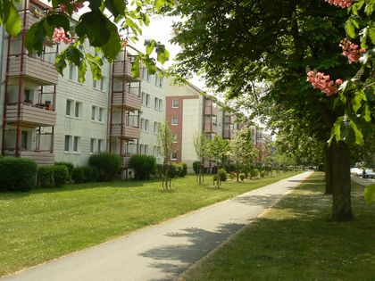 Wohnung Mieten In Lubben Immobilienscout24