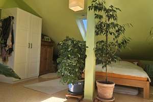 Genießen Sie Ihr modernes 5-Zimmer-Haus in ruhiger Gegend von Kelkheim (Taunus) – Die vollständige Adresse der Immobilie erhältst du vom Anbieter., 65719 Kelkheim (Taunus) – Vorschaubild 11