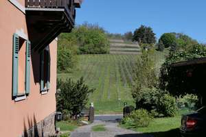 Zwischen Weinberg und Waldrand – Villa mit 3.000 m² Ruhe in Radebeul – Die vollständige Adresse der Immobilie erhältst du vom Anbieter., 1445 Radebeul – Vorschaubild 2