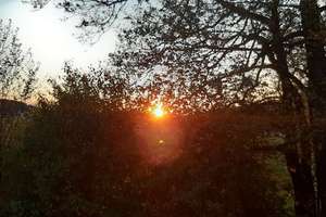 Traumlage mit Sonnenuntergang: Freistehendes Zweifamilienhaus in Luftkurort! Generationenhaus! – Die vollständige Adresse der Immobilie erhältst du vom Anbieter., 93474 Arrach – Vorschaubild 4
