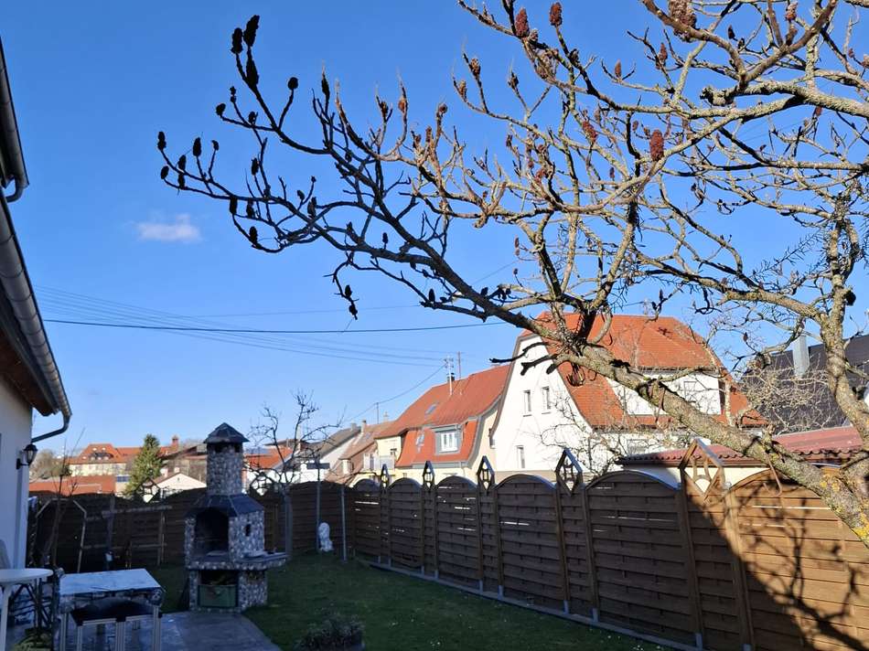 WhatsApp Image 2026-03-03 at 0