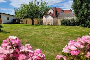 Großzügiges Grundstück mit Bungalow im Grünen – Leipzig (Kreis) – Vorschaubild 5