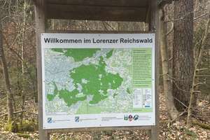 Frisch renovierte 2-Zi-Whg mit Garage in ruhiger Lage – Die vollständige Adresse der Immobilie erhältst du vom Anbieter., 90475 Fischbach, Nürnberg – Vorschaubild 12