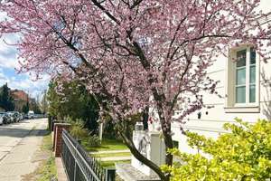 Hochwertig modernisiertes, voll möbliertes Einfamilienhaus mit 5 Schlafzimmern, Garten und Homeoffic – Die vollständige Adresse der Immobilie erhältst du vom Anbieter., 12524 Altglienicke, Berlin – Vorschaubild 31