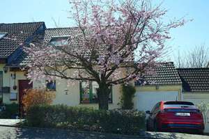 Stadtnah und doch im Grünen: Doppelhaushälfte mit Garage in Leverkusen-Meckhofen – Die vollständige Adresse der Immobilie erhältst du vom Anbieter., 51377 Steinbüchel, Leverkusen – Vorschaubild 1