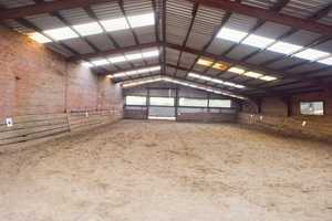 !! Wirklich Einzigartig !!
Riesen Reiterhof in Neurhede zum Bestpreis – Emsland (Kreis) – Vorschaubild 5