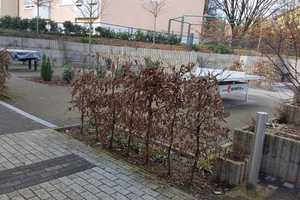 Reihenhaus in zentraler Lage mit Sonnen-Terrasse, Garten und Gartenhäuschen – Bielefelder Straße zy, 65931 Frankfurt am Main – Vorschaubild 17