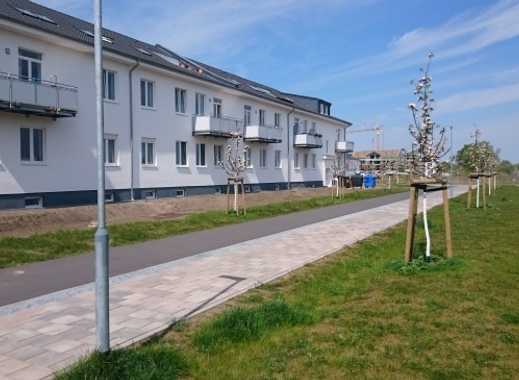 Single wohnung potsdam mieten