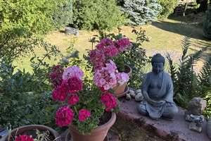* Urlaubsfeeling pur * 1 Familienhaus mit traumhaften Blick in Niedernhausen OT...... – Die vollständige Adresse der Immobilie erhältst du vom Anbieter., 65527 Niedernhausen – Vorschaubild 25