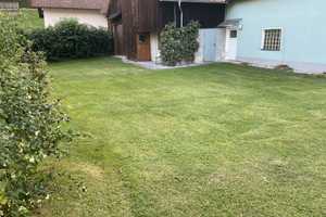 Wohnhaus mit schönem Garten, Garage und perfekter Scheune – Cham (Kreis) – Vorschaubild 5