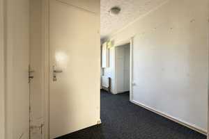 * Sackgassenlage * 6 Zimmer * Glasfaser * großer Garten * Garage * großer Carport * Wintergarten * – Leer (Kreis) – Vorschaubild 6