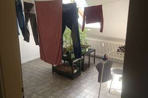 Provisionsfrei, ohne Maklergebühr ! Frisch modernisierte 4-Zimmer-Wohnung in Pforzheim-Brötzingen – Grimmigweg 35, 75179 Brötzingen, Pforzheim – Vorschaubild 50