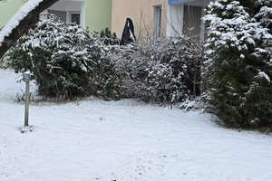 Property thumbnail 16