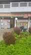 KRISTAN Immobilien: Supermarkt - KIOSK - Feinkost - Eisdiele
