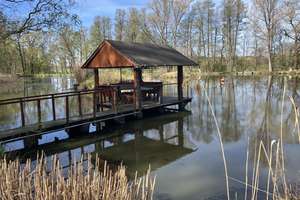 ***3 Häuser am See*** – Die vollständige Adresse der Immobilie erhältst du vom Anbieter., 6905 Bad Schmiedeberg – Vorschaubild 1