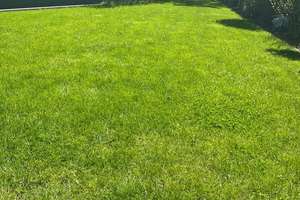 Modernes & Energieeffizientes Reihenendhaus mit großem Garten – 63128 Dietzenbach – Vorschaubild 24