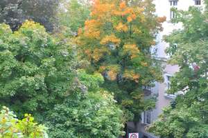 Elegante helle 3,5-zimmer-Altbauwohnung mit Balkon in toller Lage! – Valleystraße 19, 81371 Sendlinger Feld, München – Vorschaubild 3