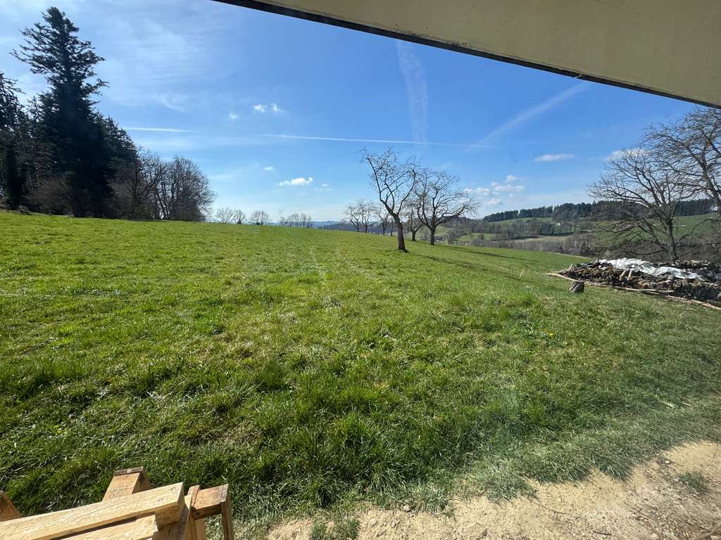 Immobilie in Bodnegg - Alleinlage pur: Hofstelle mit großem Potenzial und unverbaubarem Weitblick! - Bild 3