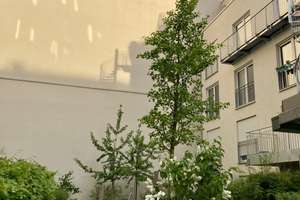 Helle 4 Zimmer Helle 4 Zimmer  Wohnung - Loggia mit Ausblick über ruhigen grünen Innenhof – Watzmannstraße 4, 81541 Obergiesing, München – Vorschaubild 22
