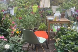 Schöne, helle 3 Zimmerwohnung  Dachgeschoss mit Balkon zu vermieten.
