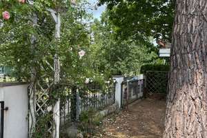 In einzigartiger Lage: Freistehndes Einfamilienhaus mit großem Rosen/Obstbaumgarten + Carport/Garage – Die vollständige Adresse der Immobilie erhältst du vom Anbieter., 14089 Kladow, Berlin – Vorschaubild 18