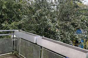 Wunderschöne, helle 2 Zi-Wohnung mit großem Balkon in ruhiger Lage – Die vollständige Adresse der Immobilie erhältst du vom Anbieter., 81243 Pasing, München – Vorschaubild 10
