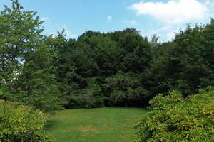 So sehen Träume aus! Imposante Villa auf  9.775 m² parkähnlichem Grundstück und eigenem Wald. – Amtsdamm 65, 27628 Hagen im Bremischen – Vorschaubild 3