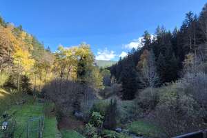 Für Naturliebhaber, freistehendes Haus plus Gewerbehalle in herrlicher Lage mitten im Wald – Die vollständige Adresse der Immobilie erhältst du vom Anbieter., 75323 Bad Wildbad – Vorschaubild 3