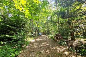 Bungalow in traumhafter Lage und eigenem Wald – Die vollständige Adresse der Immobilie erhältst du vom Anbieter., 63801 Kleinostheim – Vorschaubild 9