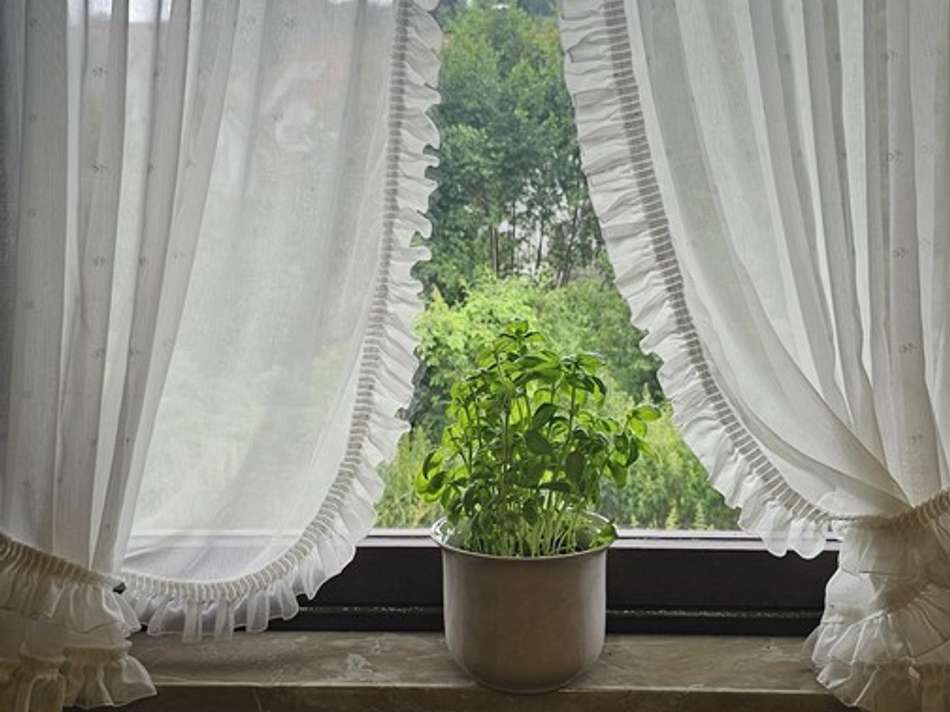 Küchenfenster